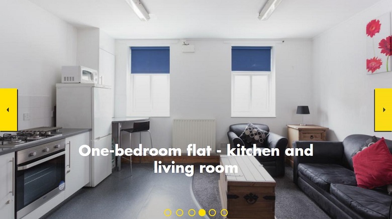 One-bedroom flat - kitchen and living room.jpg