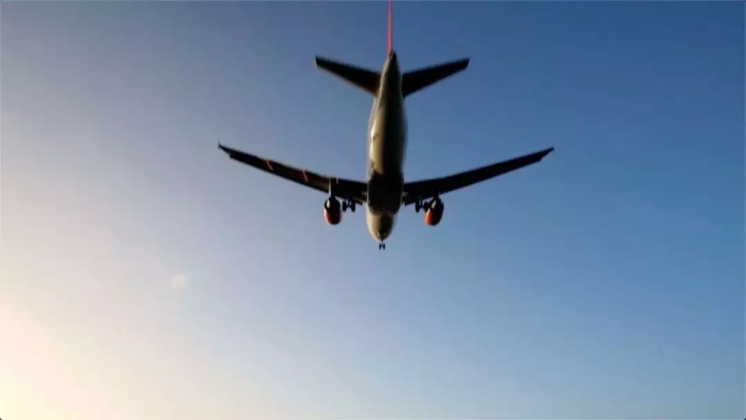 FLIGHT.jpg FLIGHT.jpg