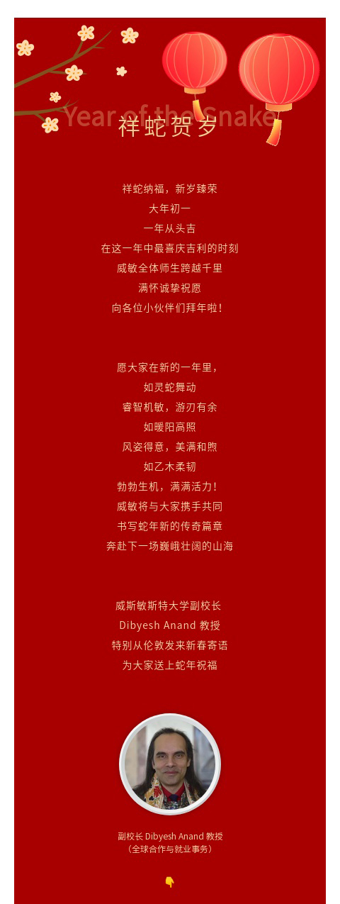 news-Chinese-New-Year's-greetings-from-Professor-Dibyesh-Anand .jpg